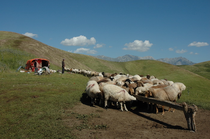 DSC_7402_������С.JPG
