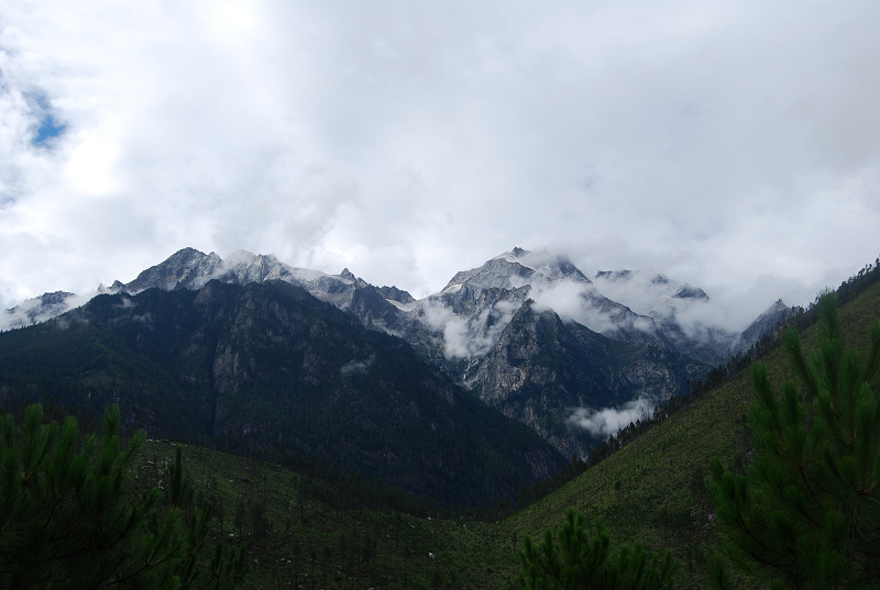 n60 1048.jpg