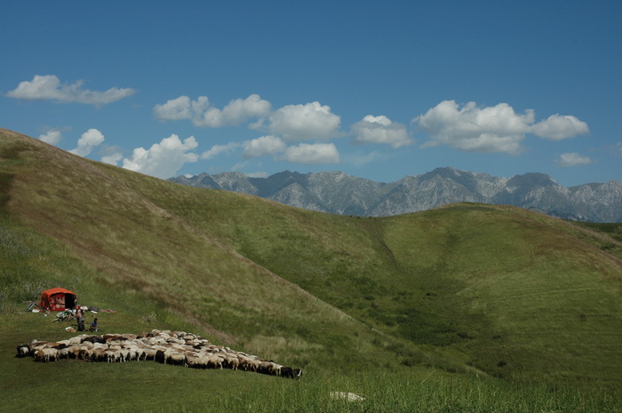 DSC_7439_������С.JPG