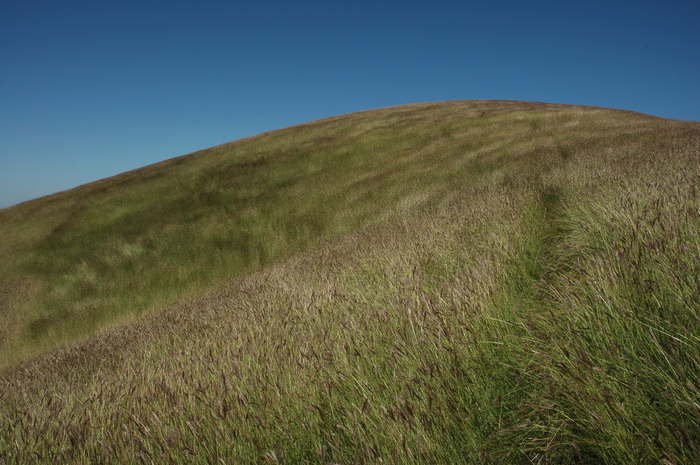 DSC_7456_������С.JPG