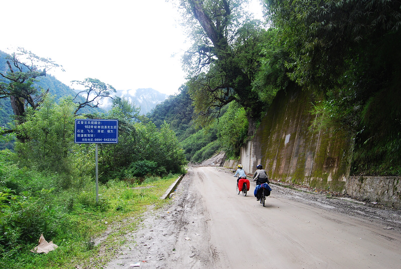 n60 1081.jpg