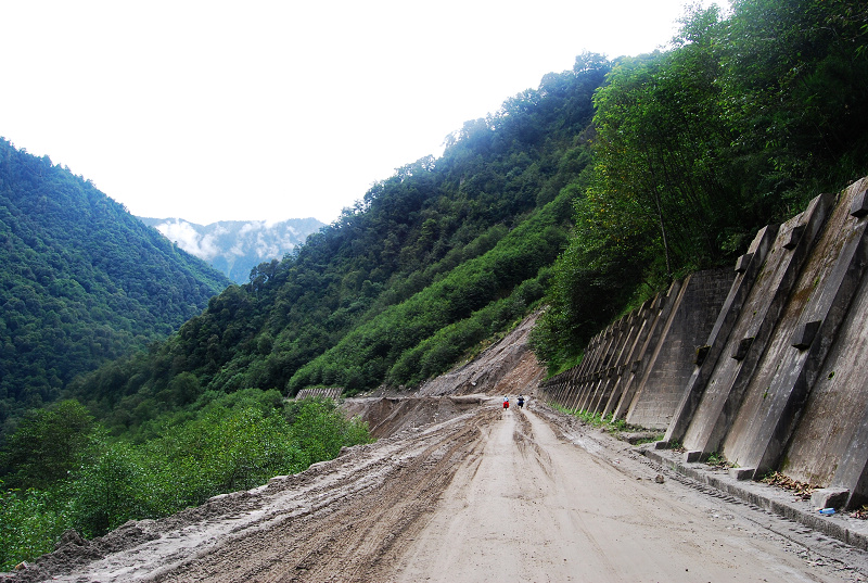 n60 1084.jpg