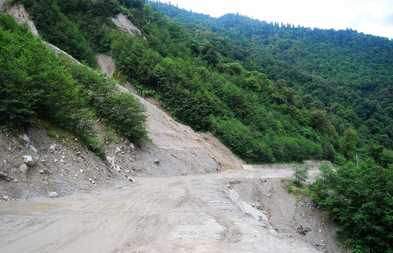 n60 1085.jpg