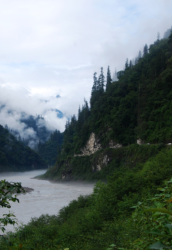 n60 1092.jpg