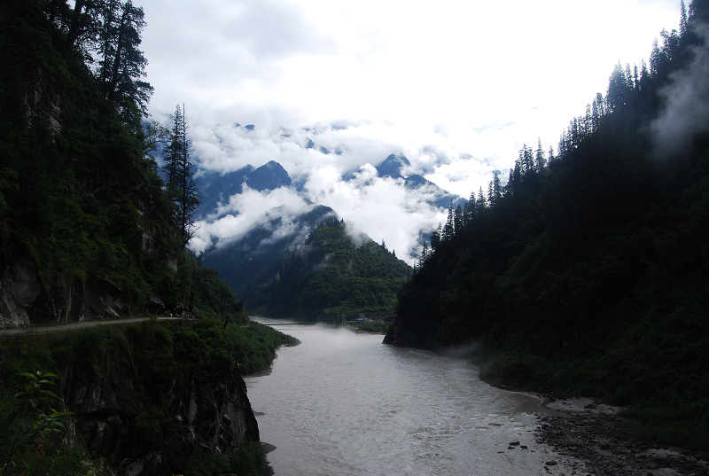 n60 1095.jpg