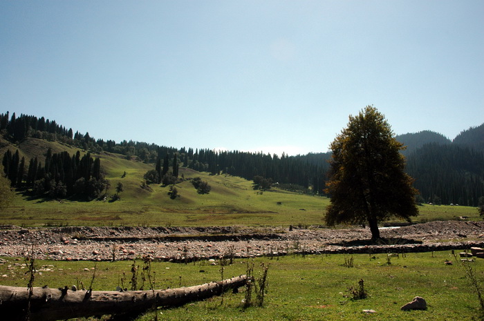DSC_7855_������С.jpg