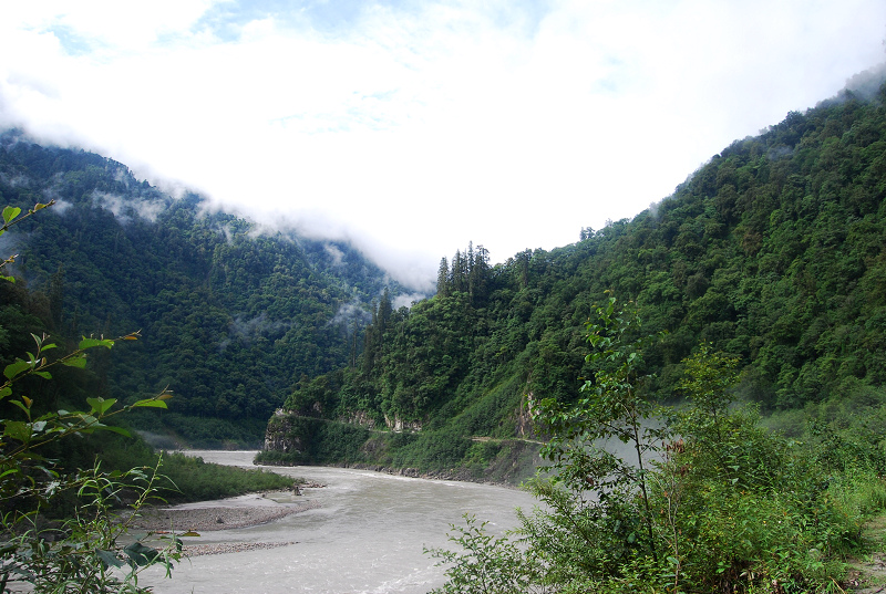 n60 1096.jpg