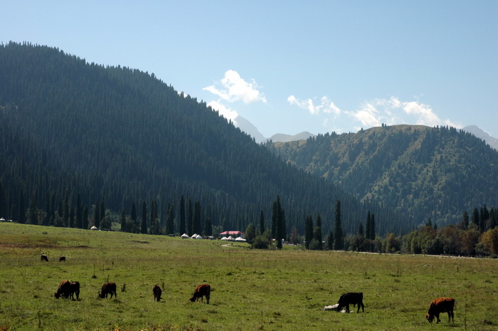 DSC_7892_������С.jpg