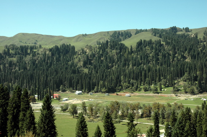DSC_7916_������С.jpg