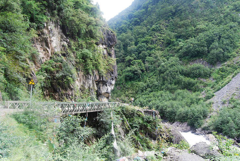 n60 1097.jpg