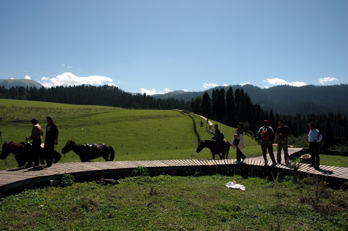 DSC_7944_������С.jpg