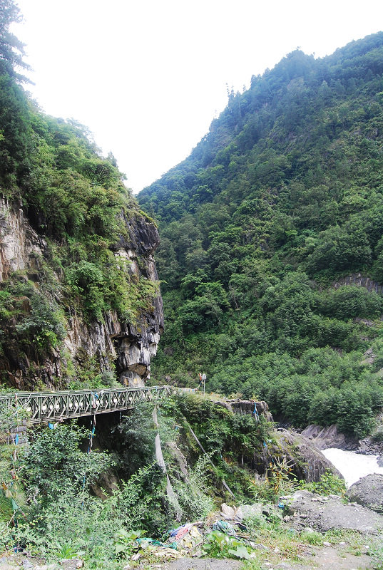 n60 1098.jpg