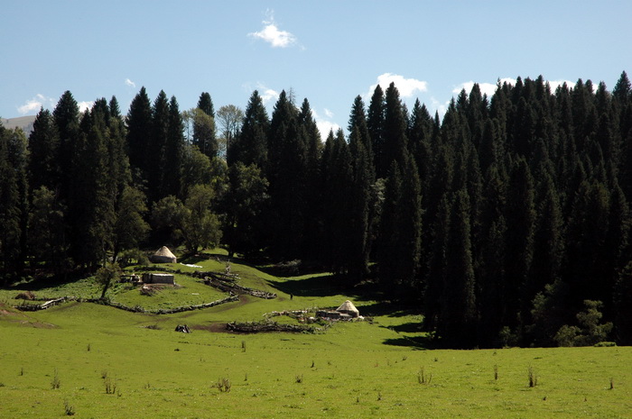 DSC_7987_������С.jpg