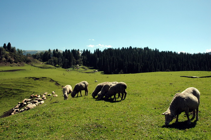 DSC_7996_������С.jpg