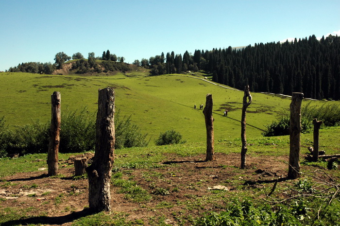 DSC_7976_������С.jpg