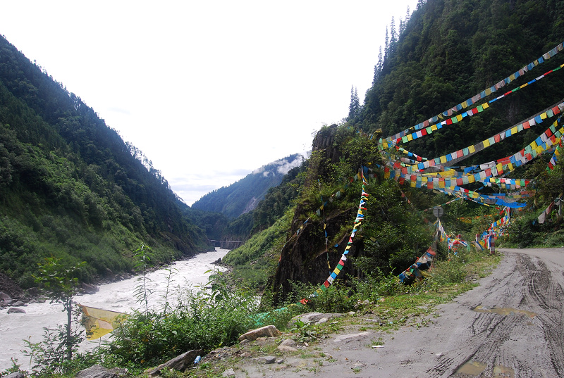 n60 1099.jpg