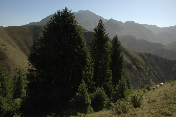 DSC_8336_������С.JPG