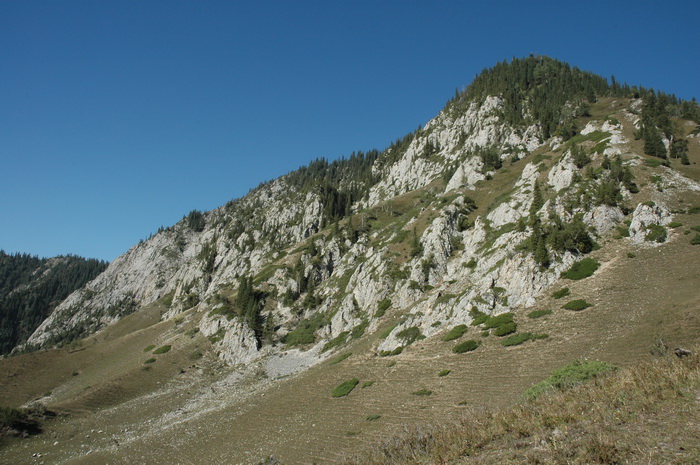 DSC_8346_������С.JPG