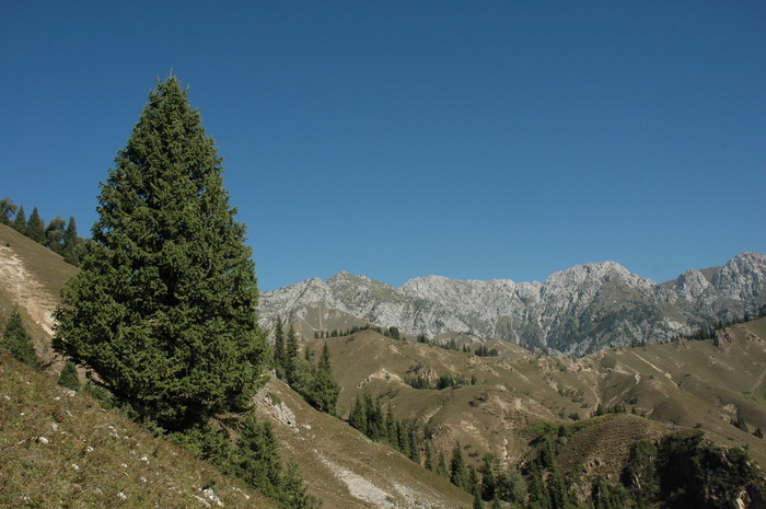 DSC_8371_������С.JPG