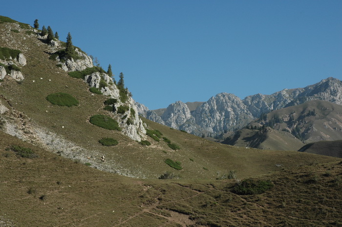 DSC_8311_������С.JPG