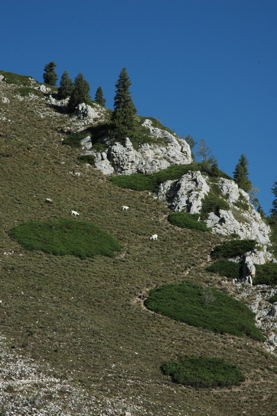 DSC_8322_������С.JPG