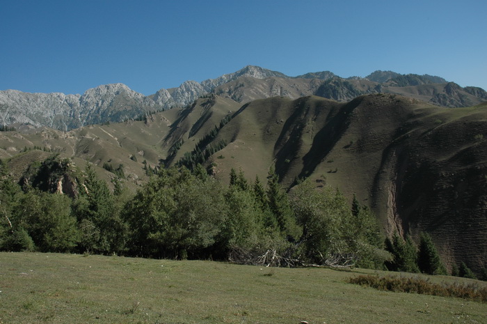 DSC_8330_������С.JPG