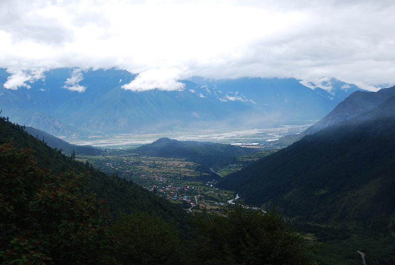 n60 1125.jpg