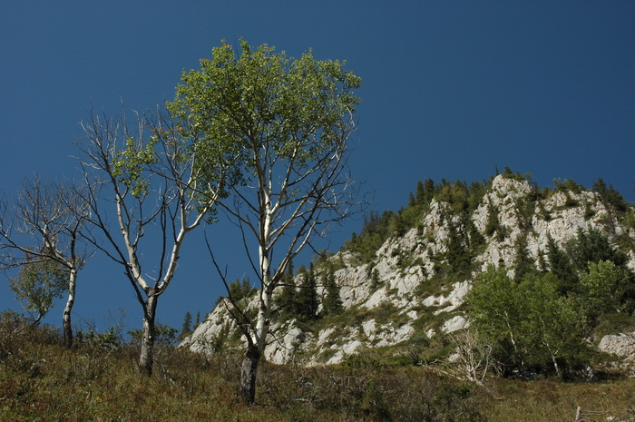 DSC_8435_������С.JPG