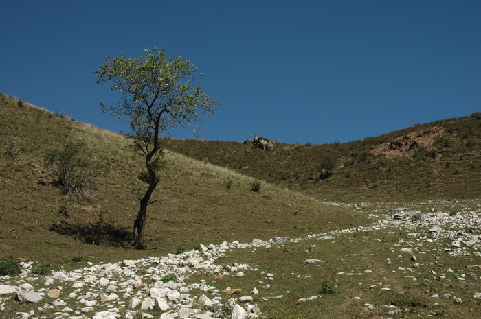 DSC_8503_������С.JPG