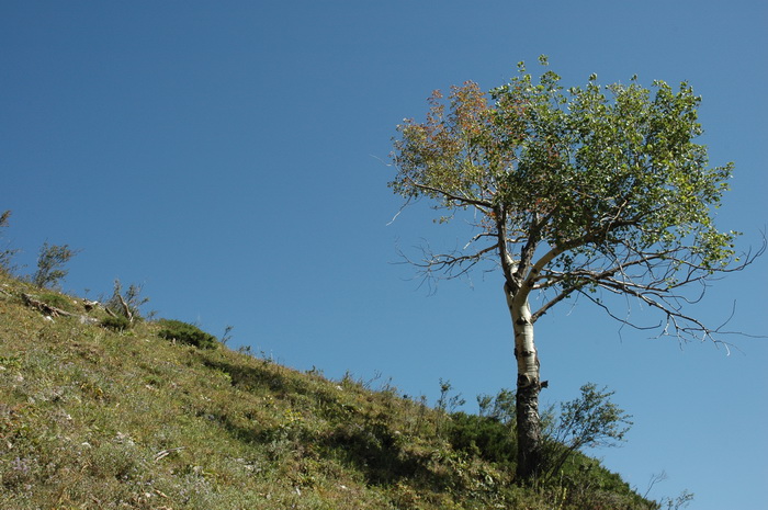 DSC_8426_������С.JPG