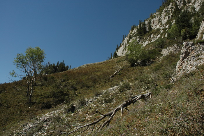 DSC_8429_������С.JPG
