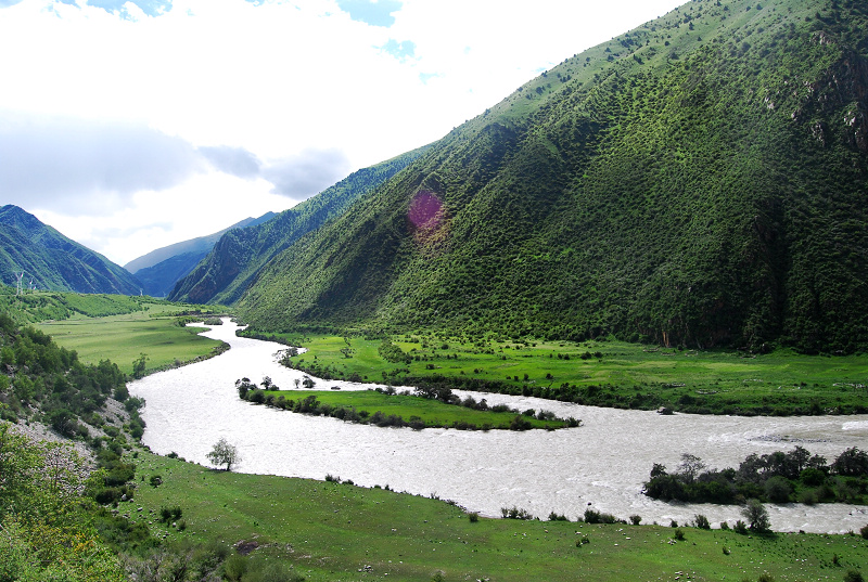n60 1137.jpg