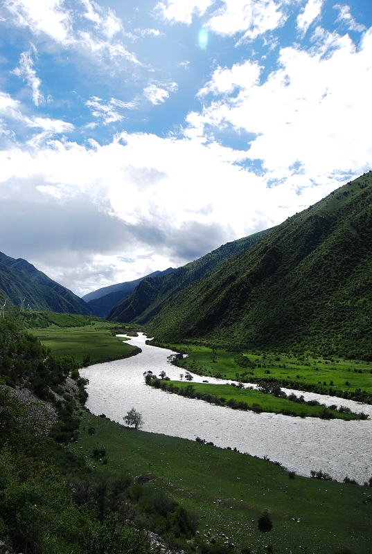 n60 1138.jpg