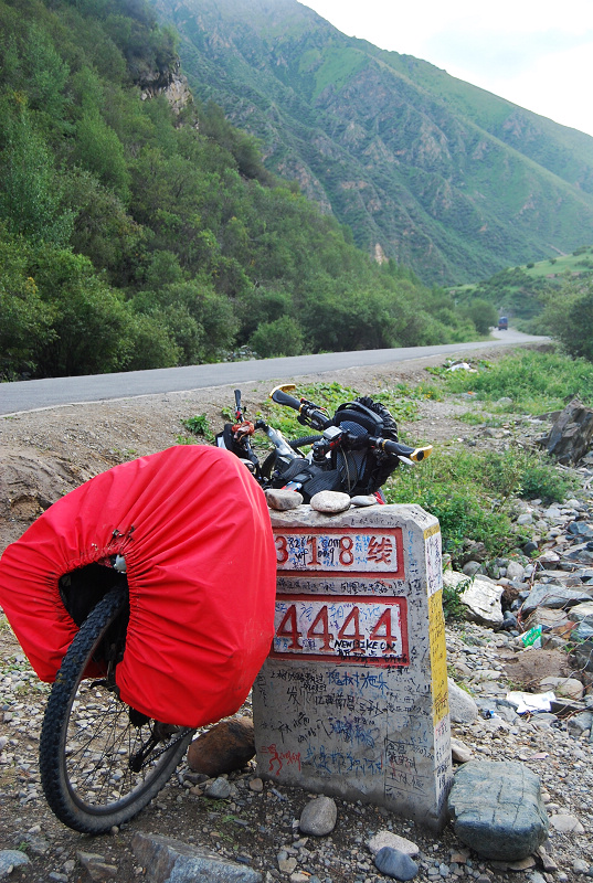 n60 1140.jpg