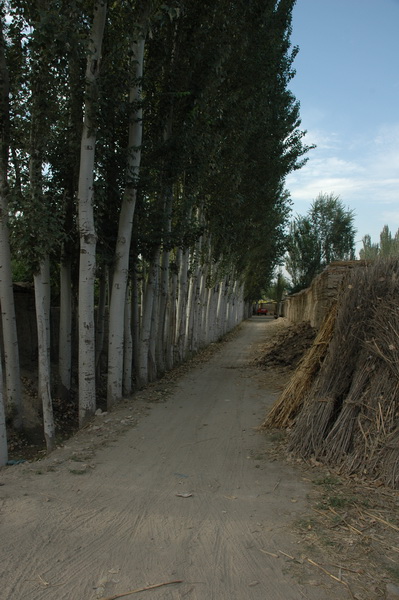 DSC_8847_������С.JPG