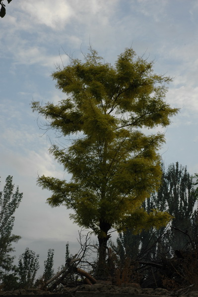 DSC_8857_������С.JPG