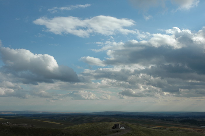 DSC_9031_������С.JPG
