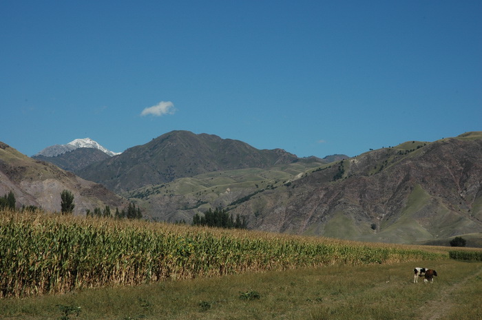 DSC_9154_������С.JPG