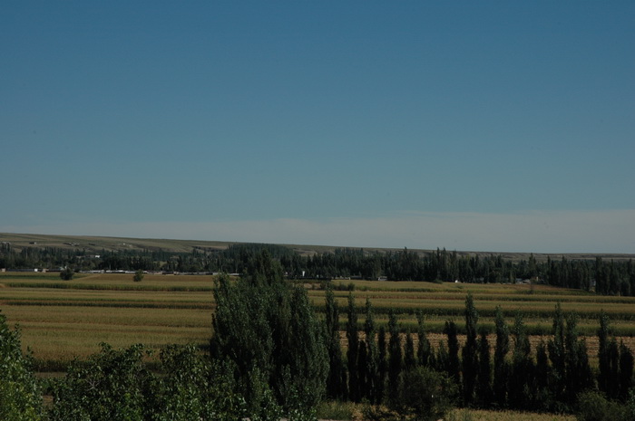 DSC_9165_������С.JPG