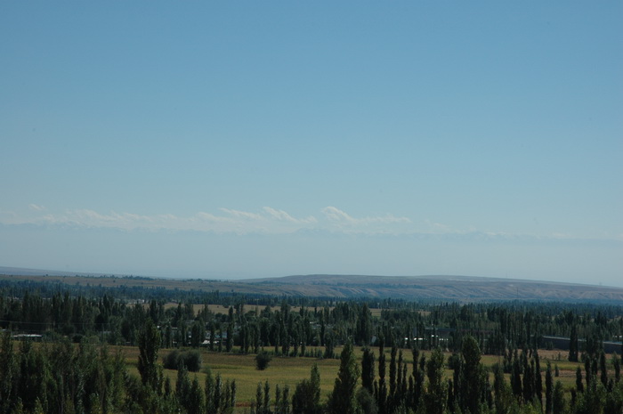DSC_9158_������С.JPG