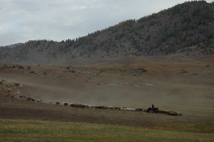 DSC_9538_������С.JPG