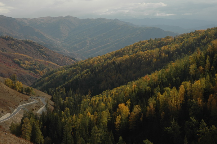 DSC_9561_������С.JPG