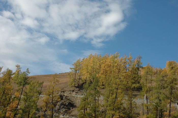 DSC_9552_������С.JPG
