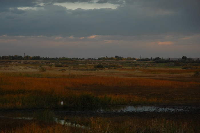 DSC_9492_������С.JPG