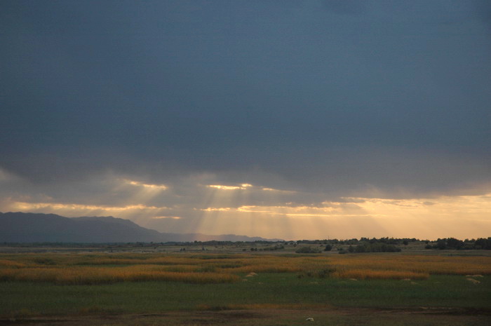DSC_9504_������С.jpg