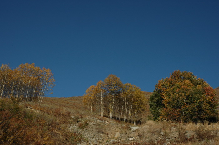DSC_9579_������С.JPG