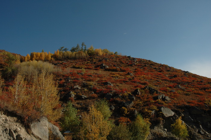 DSC_9584_������С.JPG