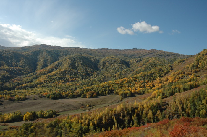 DSC_9591_������С.JPG