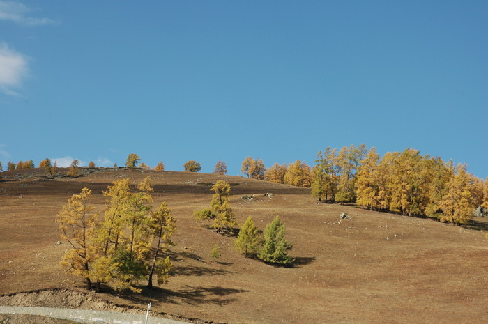 DSC_9554_������С.JPG
