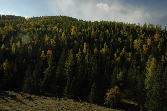 DSC_9564_������С.JPG